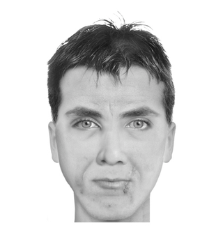 Illustration for article titled Police composite software makes realistic portraits of literary characters